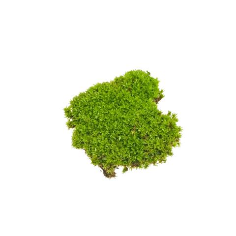 MossCellTec™ No. 1