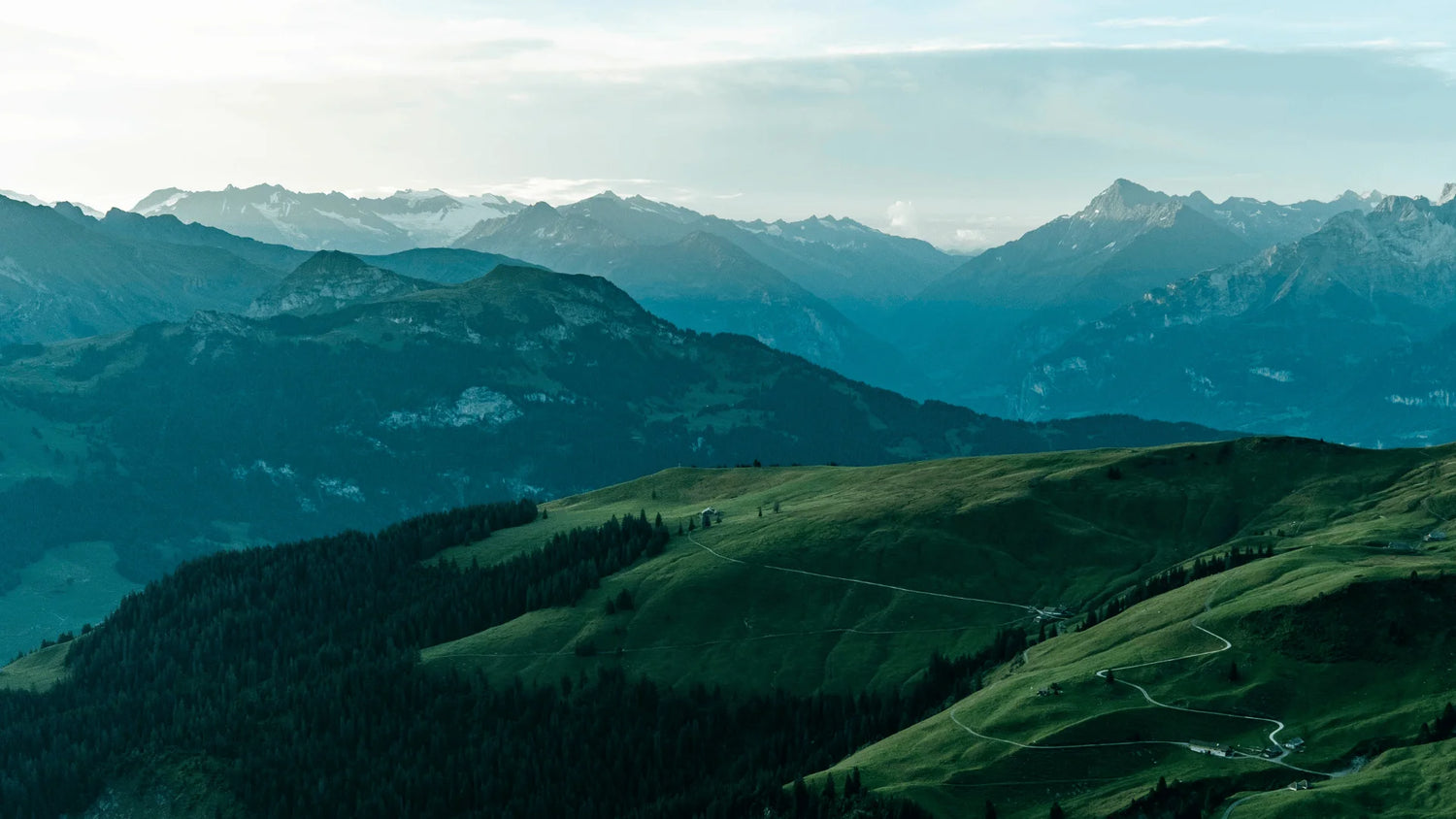 Jungkraut Natürliche Hautpflege mit Blick in die Schweizer Alpen mit Berge und grünen Wiesen